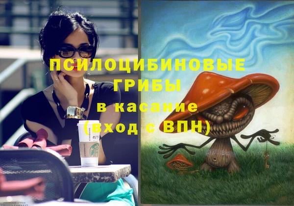 ALPHA PVP Каменка