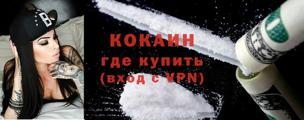 ALPHA PVP Каменка