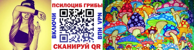 Псилоцибиновые грибы Magic Shrooms  Купить где  Магадан 