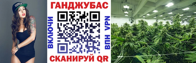 Купить Магадан Каннабис семена